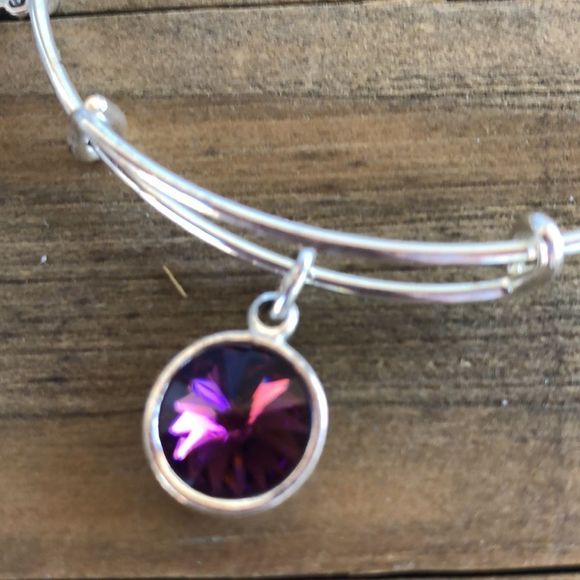 Alex and Ani Amethyst Birthstone Crystal Silver Adjustable Charm Bracelet! EUC - Picture 3 of 10